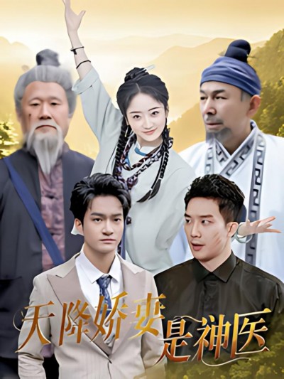 《天降娇妻是神医》短剧高清全集免费在线观看播放完整版