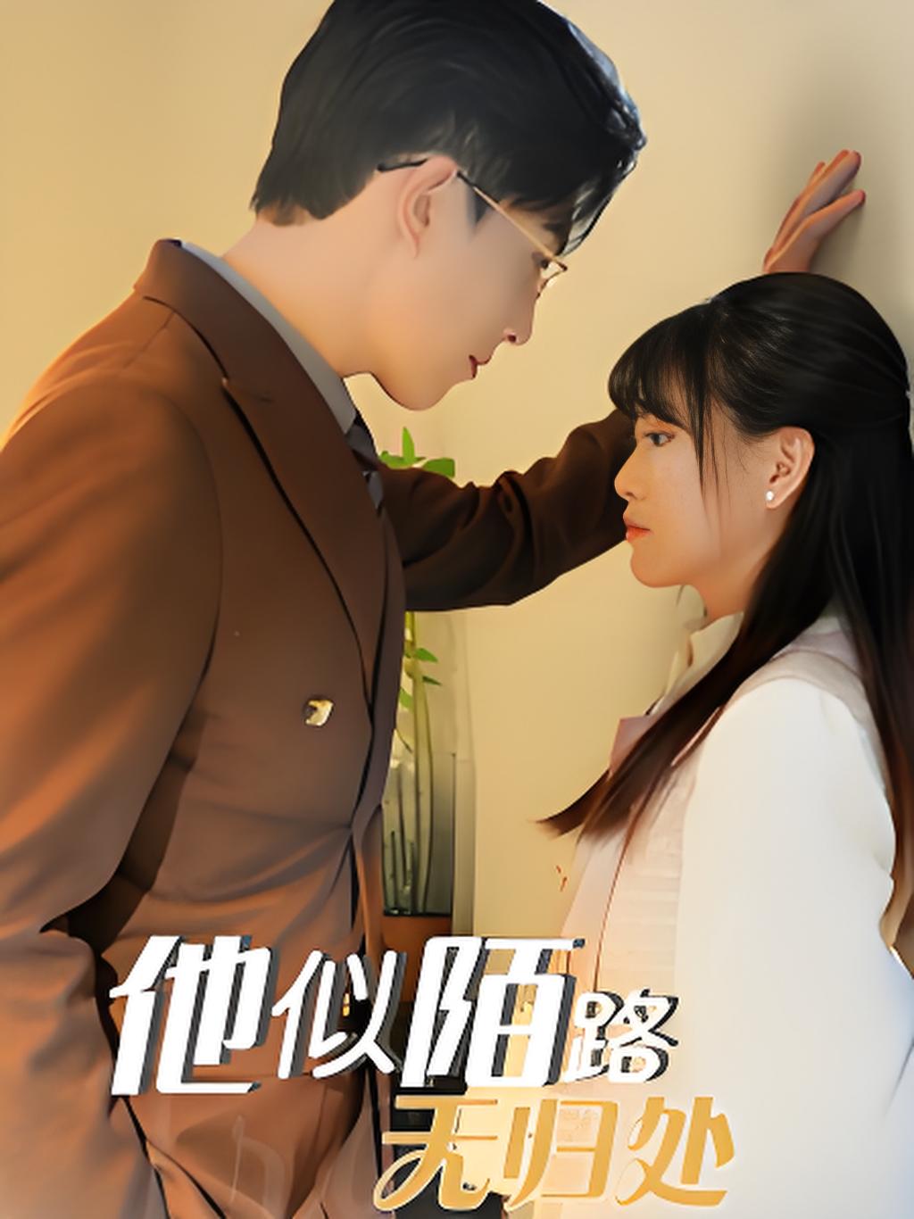 《他似陌路无归处》短剧高清全集免费在线观看播放完整版,整版,短剧,陌路,在线观看,第1张