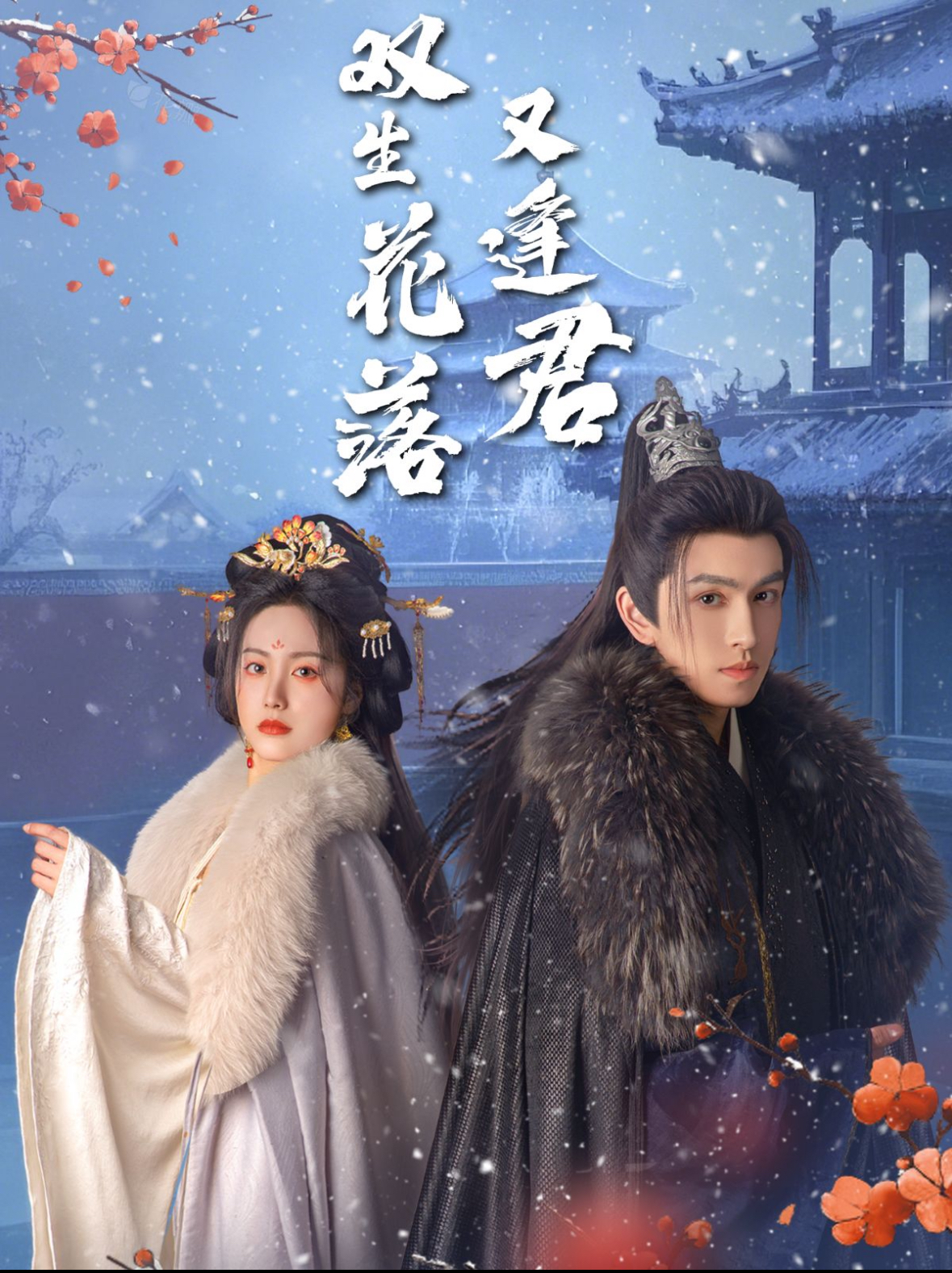 短剧《双生花落又逢君》 免费看高清全集，大结局震撼揭晓  第1张